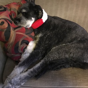 Fundraising Page: The McNaughty's